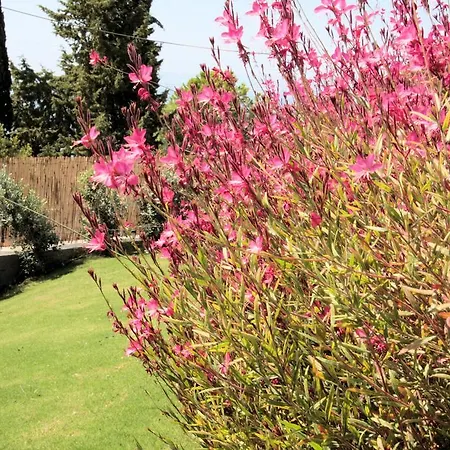 Villa Costamare - Enjoy Lazy Days On The Private Pool-Jacuzzi * Pefki (Rhodes)