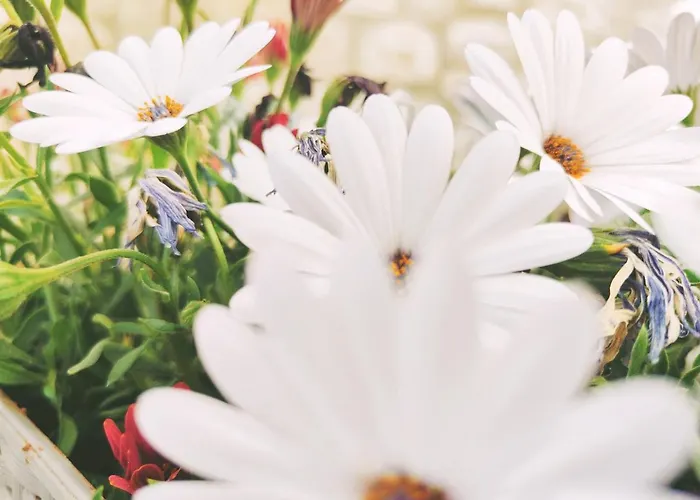 Costamare - Enjoy Lazy Days On The Private Pool-jacuzzi * Pefki