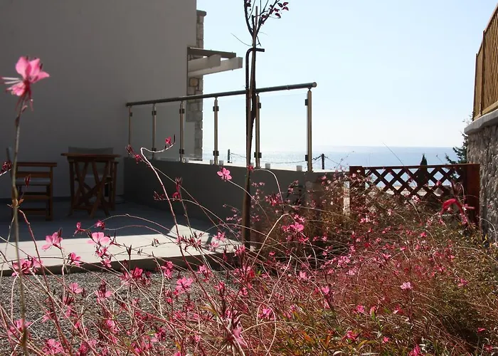 Villa Costamare - Enjoy Lazy Days On The Private Pool-jacuzzi *