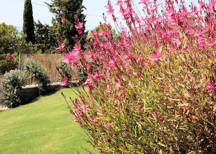 Costamare - Enjoy Lazy Days On The Private Pool-jacuzzi * Pefki (Rhodes)